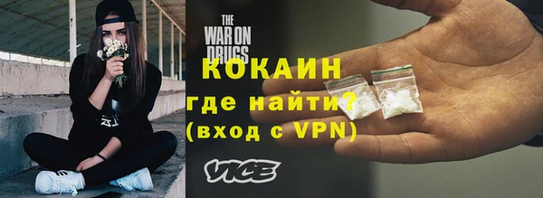 прущие грибы Краснотурьинск