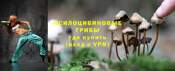 прущие грибы Краснотурьинск