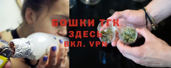 прущие грибы Краснотурьинск