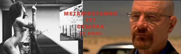 прущие грибы Краснотурьинск