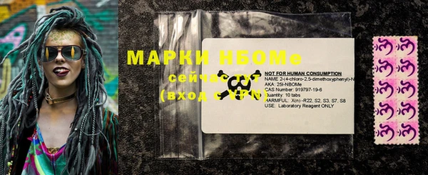 прущие грибы Краснотурьинск
