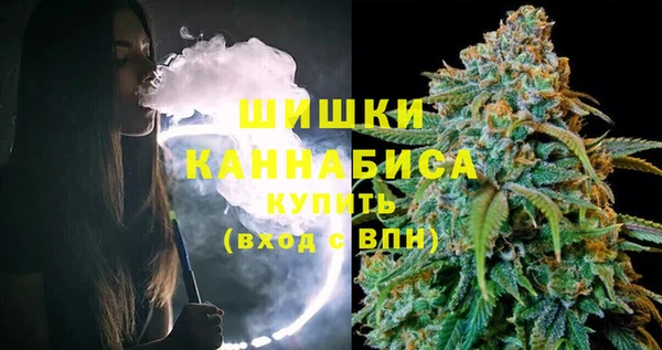 прущие грибы Краснотурьинск