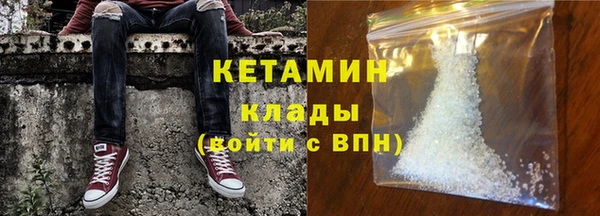 прущие грибы Краснотурьинск