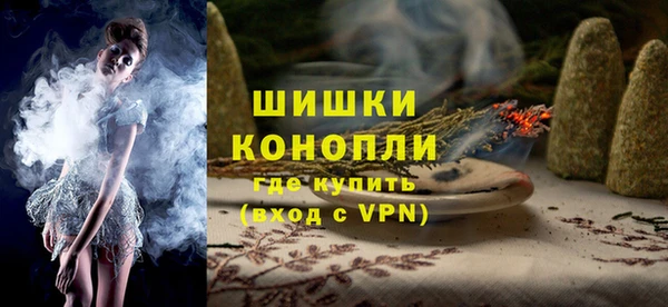 прущие грибы Краснотурьинск