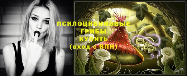 прущие грибы Краснотурьинск