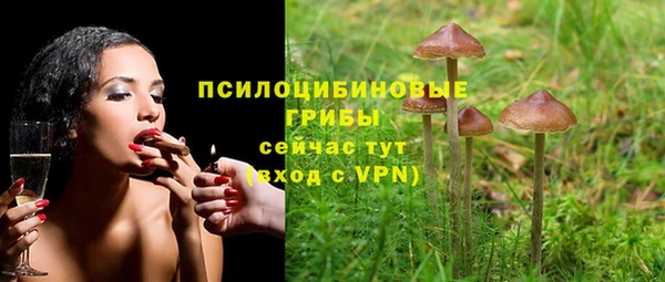 прущие крисы Краснослободск